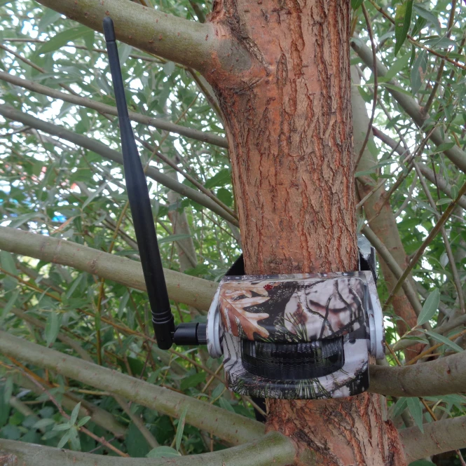 Bearstep Motion Detector Gamewatch 2+1 1 Bearstep Motion Detector Gamewatch 2+1