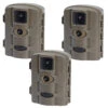 Bearstep Set Of 3 Game Camera Hide & Seek