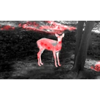 Guide Thermal Imaging Device - Front Attachment TA435 5 Guide Thermal Imaging Device - Front Attachment TA435 - Afbeelding 5