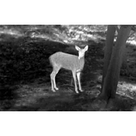 Guide Thermal Imaging Device - Front Attachment TA435 6 Guide Thermal Imaging Device - Front Attachment TA435 - Afbeelding 6