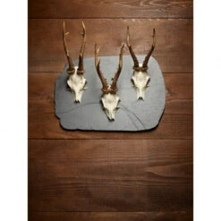 Pardur Trophy Board Deer XL