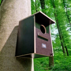 Swiss Hunt Forest Owl Nesting Box -Jachtavonturenwinkel swiss hunt forest owl nesting box 3