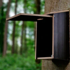 Swiss Hunt Nest Box For Cavity Nesting Birds -Jachtavonturenwinkel swiss hunt nest box for cavity nesting birds 4