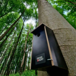 Swiss Hunt Nest Box For Cavity Nesting Birds -Jachtavonturenwinkel swiss hunt nest box for cavity nesting birds 5